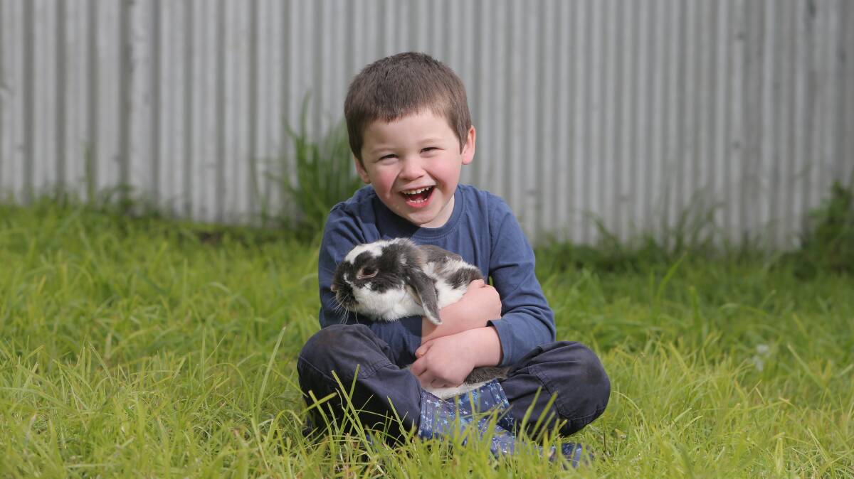 Reunited: Patrick Stuart with his pet rabbit Roger. Picture: Vicky Hughson