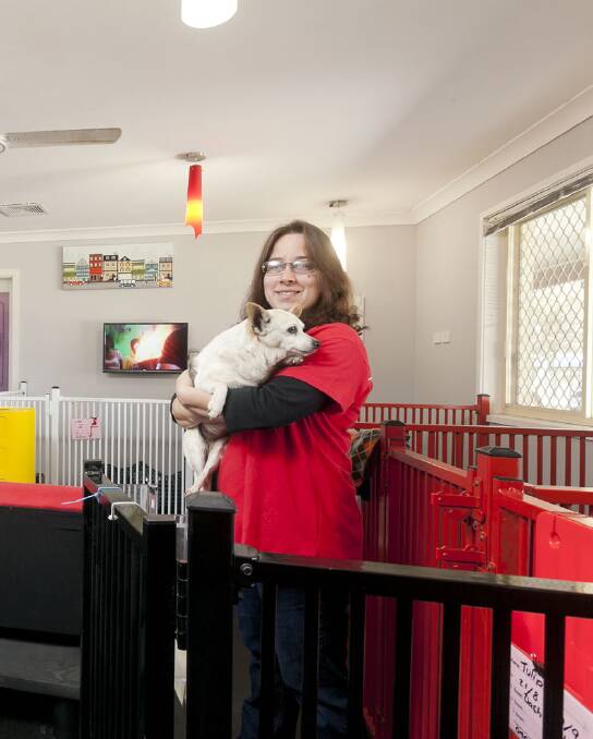 SAFE: Lochinvar Pet Motel is the perfect pet accommodation, offering great-priced  boarding in a home-like environment for your furry or feathered family member. 