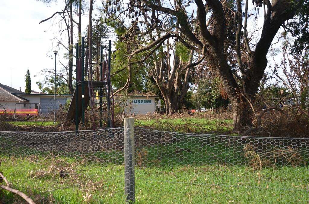 NO ENTRY: Burdekin Park remains closed to the public due to the dangers from falling tree limbs. The trees can't cope with the size of the flying fox colony now living in the park.