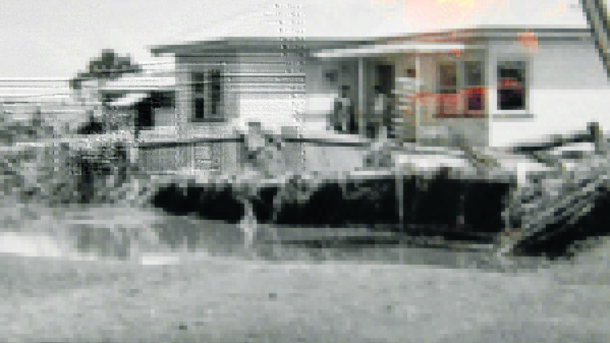 THROWBACK: 1955 Singleton flood 