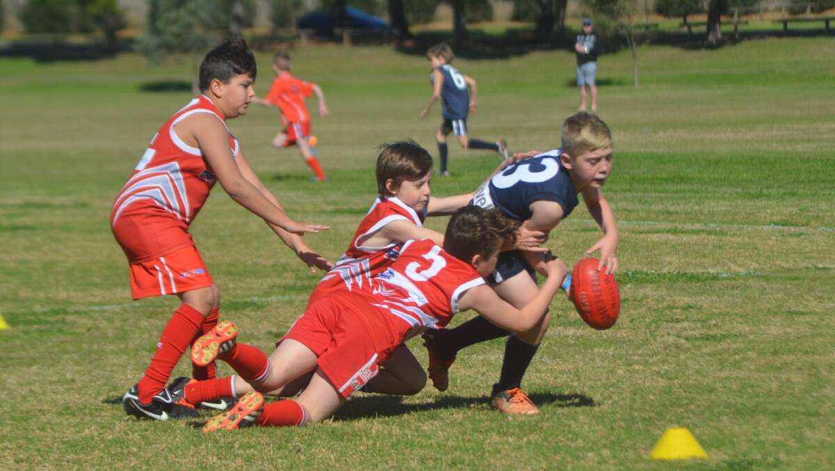 TIGHT TUSSLE: Singleton and Newcastle City went into battle at Rose Point Park on Sunday.