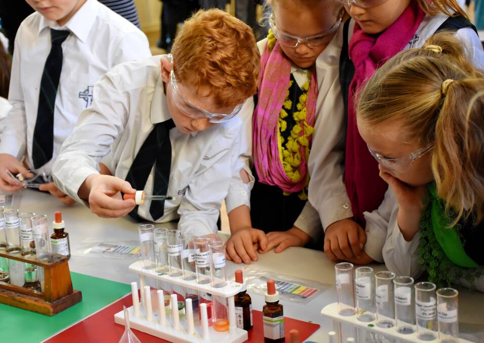 WORKING HARD: Students were very eager to get involved in each of the science workshops. 