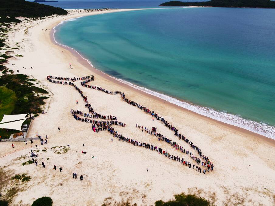 The Port community has once again broken its own world record for creating the largest human whale. Pictures: Supplied