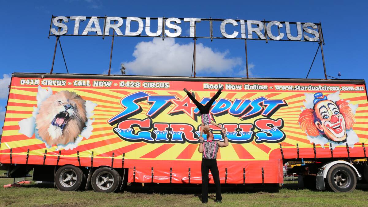 Stardust Circus is in town, and with them is six lions, 13 horses, six monkeys, three goats, two pics and five dogs. Pictures: Ellie-Marie Watts