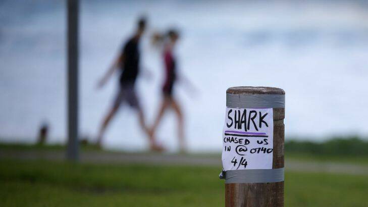 05.04.17-Oak Park Cronulla-Sandshoes Reef-A shark sent surfers in from the surf yesterday morning.it has been seen before.Picture John Veage Photo: John Veage