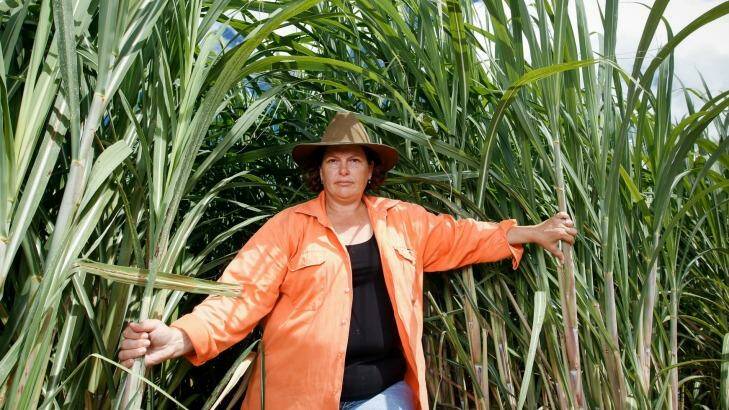 Kalamia Cane Growers director Paula Langdon on her farm near Ayr, North Queensland. Photo: Michael Chambers