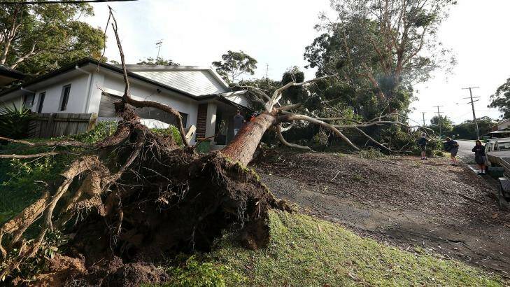 Property in North Avoca inspected after tree damage from the storm on in Gosford. Gosford City and Wyong shire have official been declared disaster zones, due to the damage caused by the worst storms to hit the region in decades.  Photo: Ashley Feder