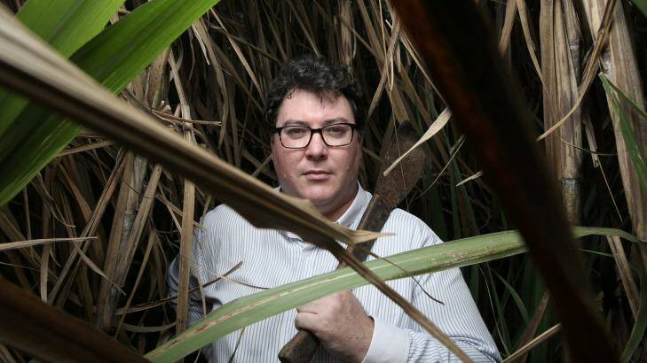 Conservative politician George Christensen has been critical of Wilmar.  Photo: Andrew Meares