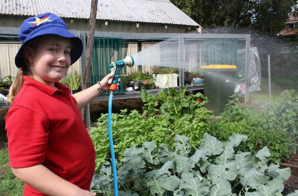 Year three student Makalya Ridling from King Street Public School hosing the vegie garden.