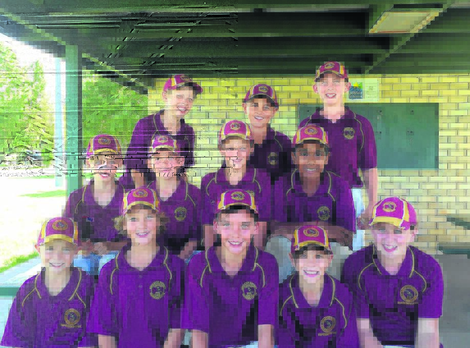 HUNTER VALLEY T20:   The Singleton Under 12  T20 representative side that took to the field on Sunday  in the inagural competition.