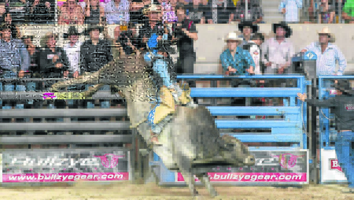 HOLD ON: Singleton’s Cody Heffernan will compete in the prestigious Last Cowboy Standing event in Las Vegas this weekend. Pic: PHILLIP WITTKE PHOTOGRAPHY
