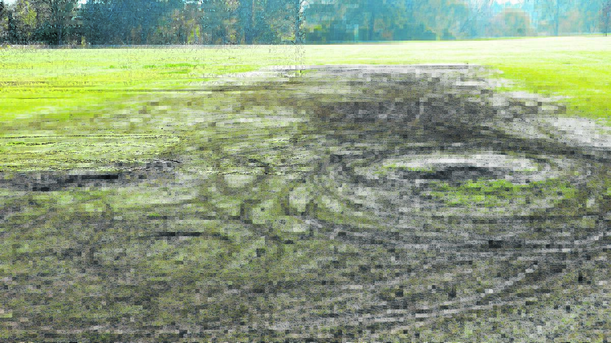 MORE SENSELESS DAMAGE: An oval at Cook Park, which was the target of vandals.