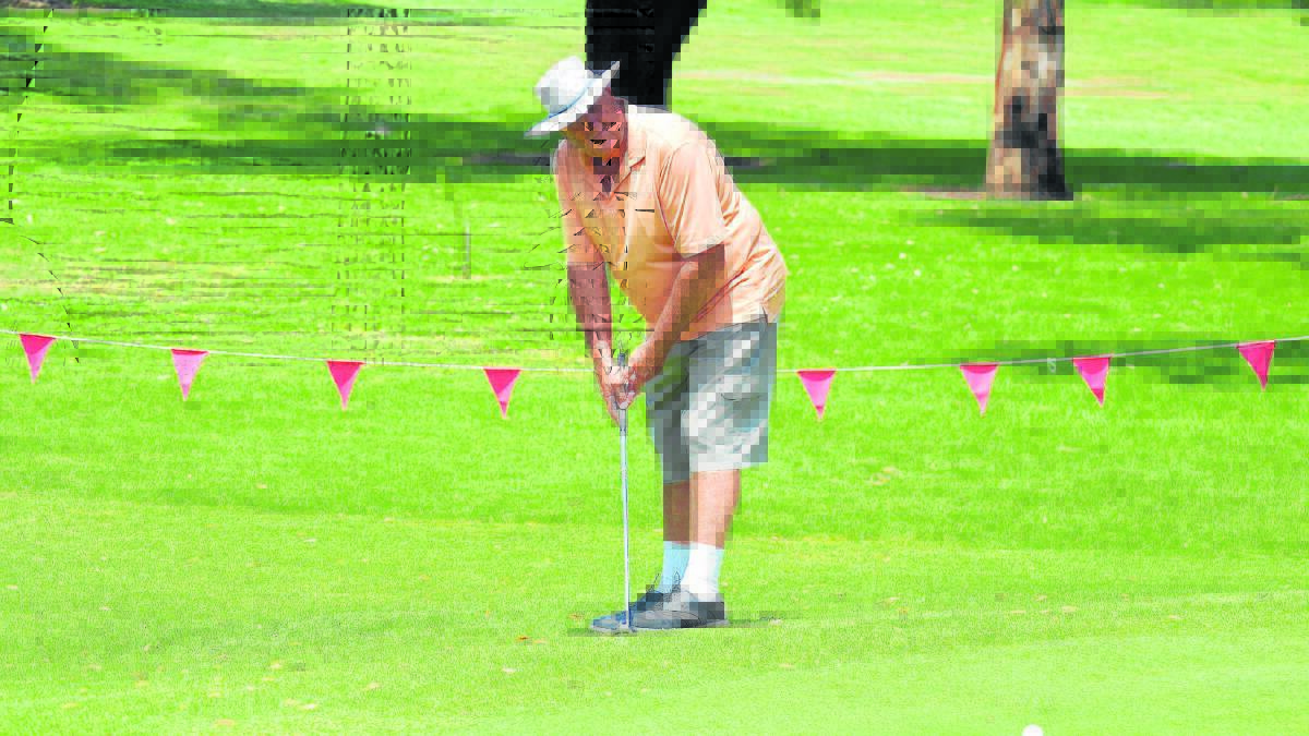 LAY-UP: C grader Bob Clarke gets out of trouble with a steady shot at the Singleton Golf Course on Saturday.