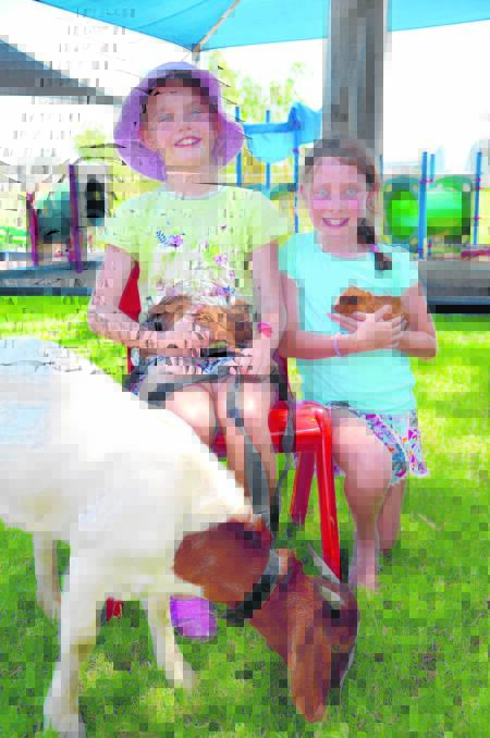 FURY FRIENDS: Danae Ferguson and Jena Perram having a hold of the guinea pigs. 