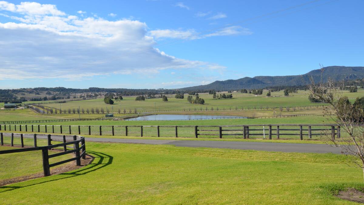 Neighboring property to the proposed Drayton South Project Coolmore thoroughbred stud.