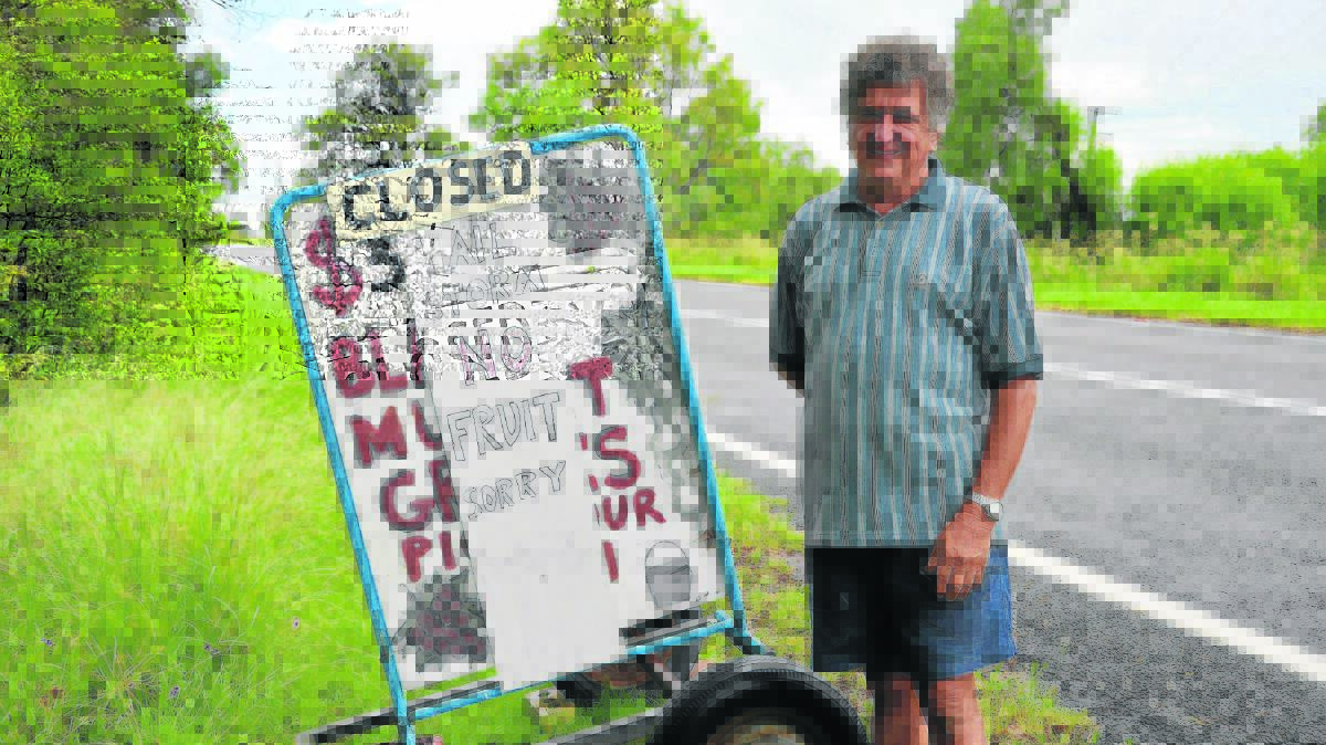 DAMAGE: Jim Vickers will not have the opportunity to offer his black muscat grapes to residents this year.