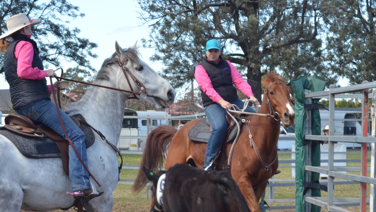 WORKING TOGETHER: Cody Wilson and Bonnie Merrick showcase their talents in the arena sorting section of the Valley Team Penning competition at Singleton Showground on Sunday.