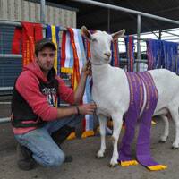 CHAMPION:  Wylies Flat goat farmer Alex Berry with Nanny Miss Kitty who won a swag of ribbons at the Sydney Royal Easter Show including best udder of all the dairy goat classes.