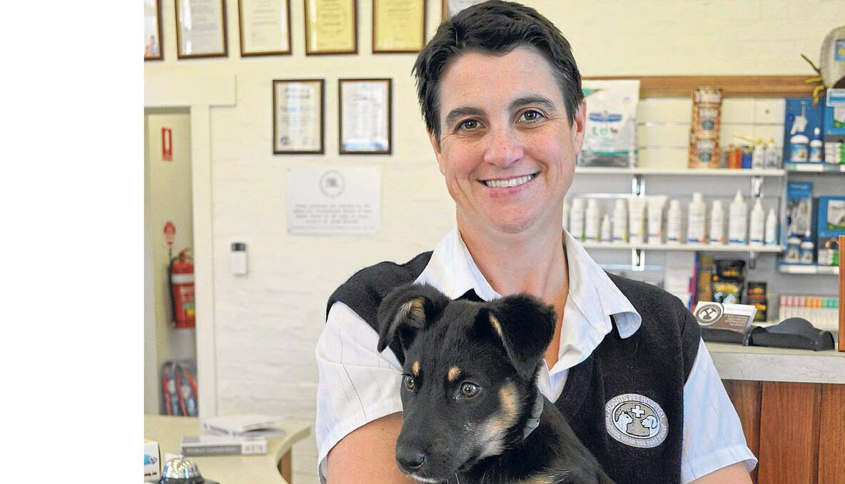 VACCINATE NOW: Heights Pet Hospital veterinarian Julie Girdler with 12 week old German Shepherd cross Charli who is fully vaccinated against Parvovirus.