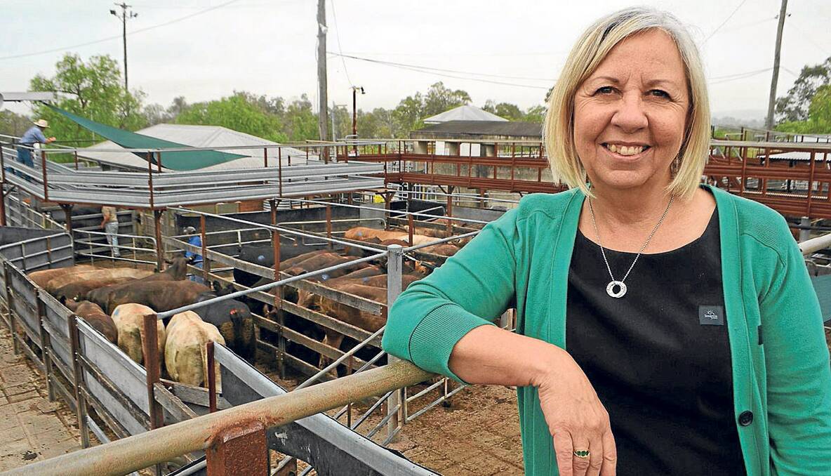 SEEKING FUNDING:  Singleton Council, general manager, Lindy Hyam is hoping to see Resources for Regions funding to upgrade the town’s livestock selling. On the day she visited the yards  Roger Fuller Pty Ltd  sold 175 bullocks from Pembroke Station, Cassilis. The bullocks had an average liveweight of 652kg and sold for  $1160.75/head to Primo, Scone, Tey Bros, Beenleigh, Qld and Swift JBS. 