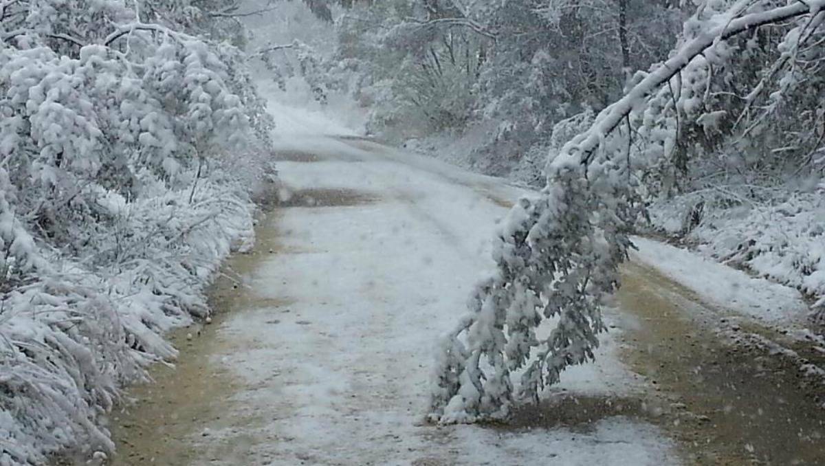 LITHGOW, NSW: Michael O'Donnell from Kelso took these at Trunky Creek this Morning while at work. Photo: Michael O'Donnell.