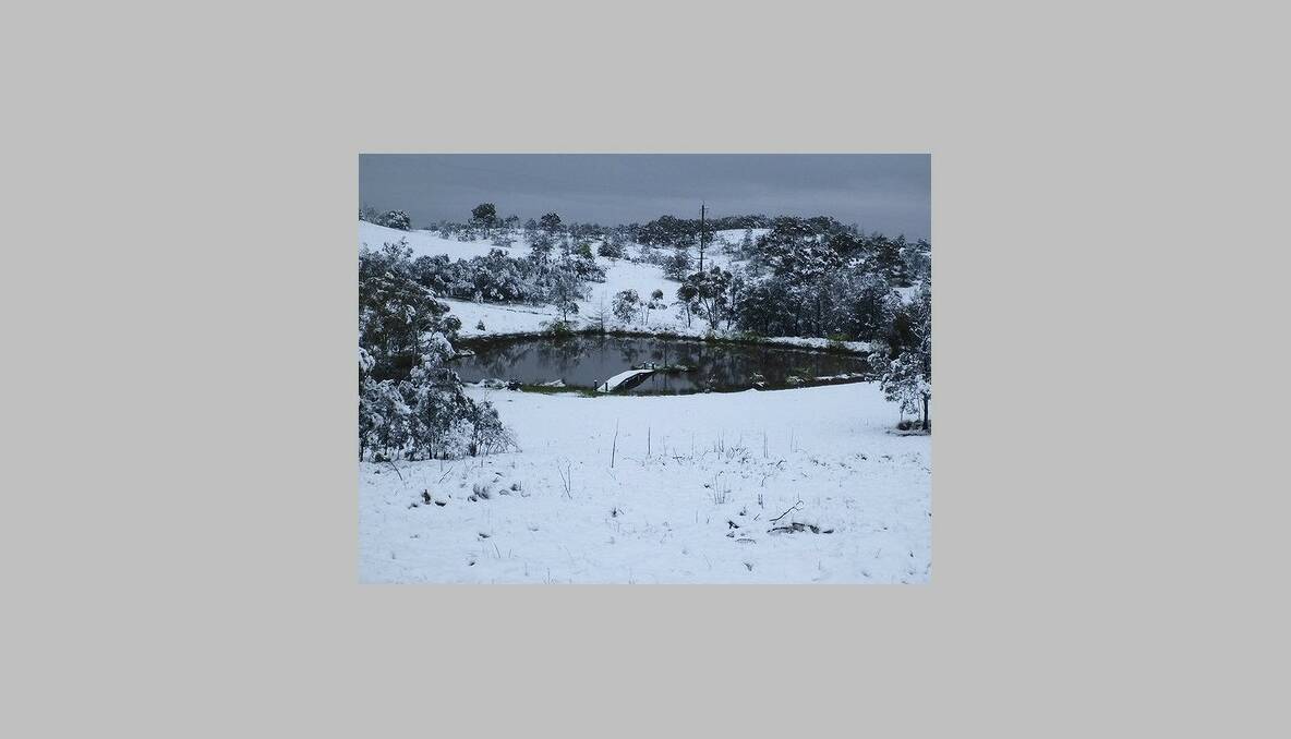 WAMBOIN, NSW: Snow in Wamboin. Photo: Edwin Auzins