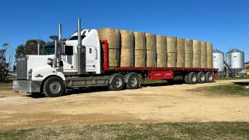 Hay from Connen Hill Lucerne, Lake Bathurst, has been flying out the door. Photo: supplied