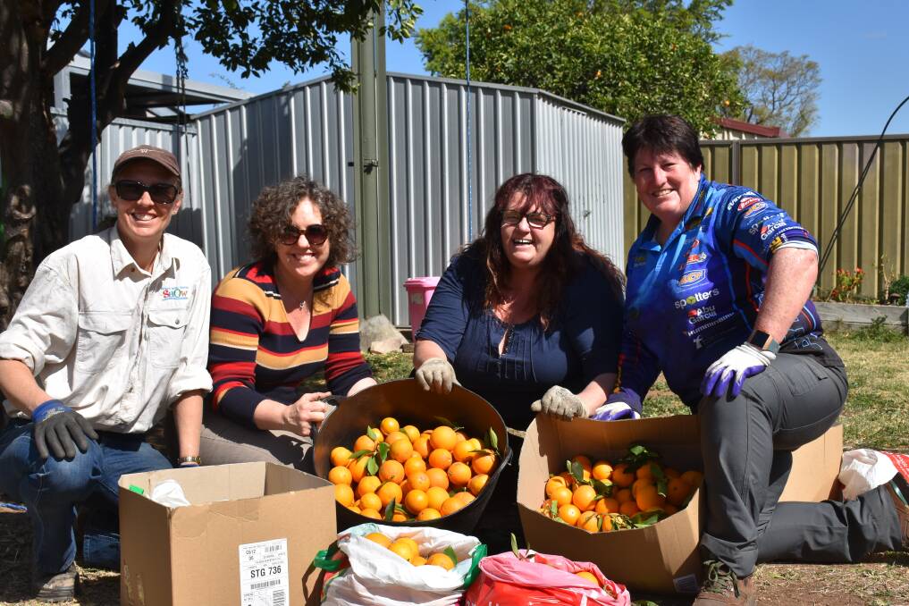 Michelle Higgis, Sarah Lukeman, Carmen-Lee Mensah and Ruth Rogers with some of the rescued citrus heading to the drought affected Coonabarabran district. 