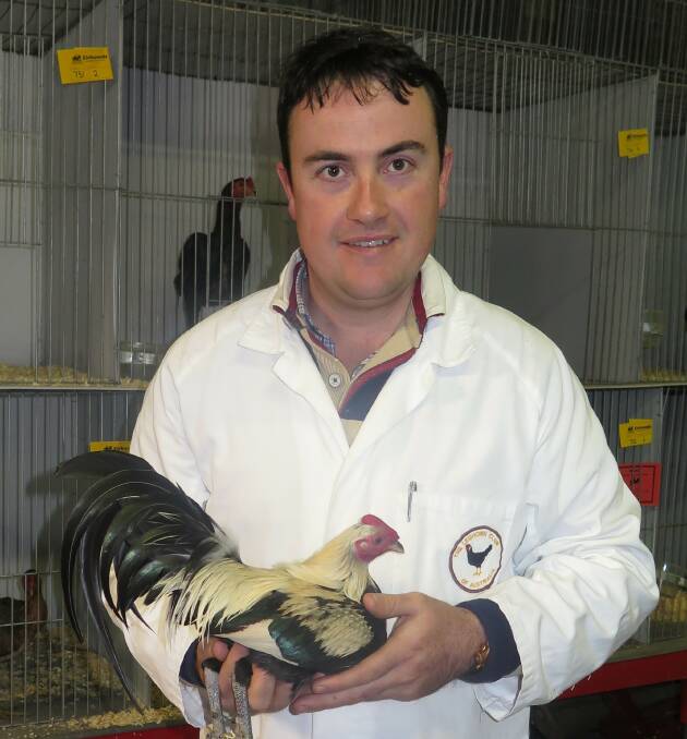 RIBBON WINNER: Judge Brendan Sharpe with Reserve Bird of Show Robert Johnstone’s Bantam OEG Duckwing Cock Bird.