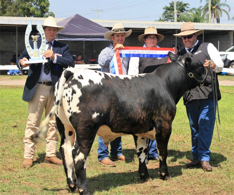 Interbreed Junior Bull Hillview Speckle Park Stud Branxton with owners Robert and Leanne Bendeich the Judge and Mark Newell presenting ribbon
