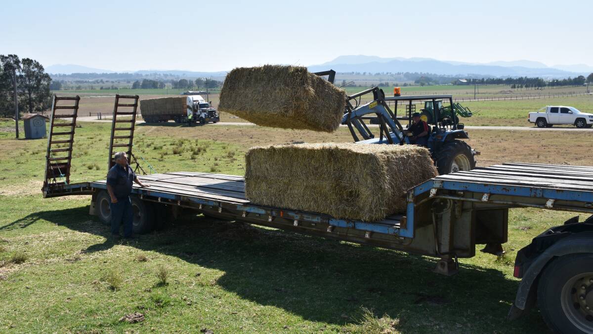 Rodney Gardiner and dairy farmer Max Moore loading donated hay at Lower Belford.