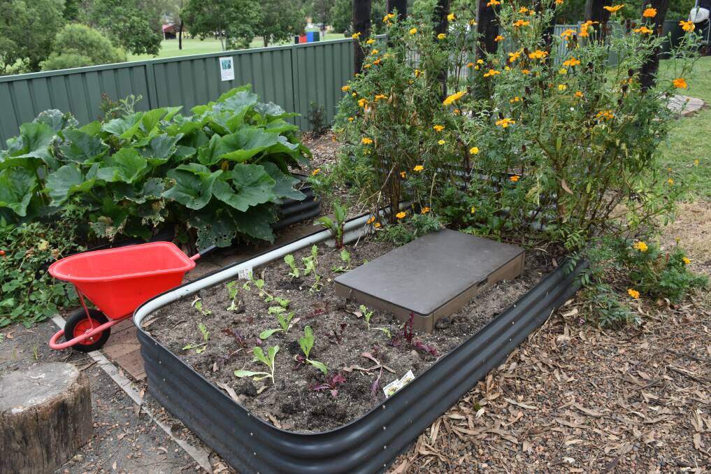 FEEDING: One of the recently installed sub pods for worm in the pre-school's vegetable garden. 