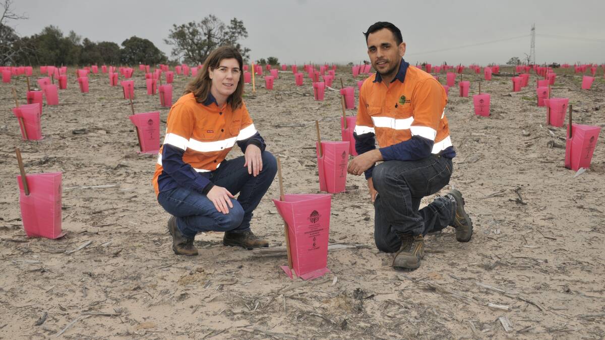 FIRST STEPS: Rio Tinto principal advisor Offsets Nel Byatt and Toolijooa, project manager Adam Cavallaro inspect work carried out 2016 planting seedlings.
