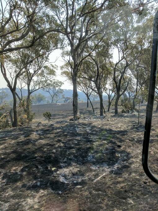 Burnt paddocks near Coolah (Photo Singleton Fire & Rescue 444) 