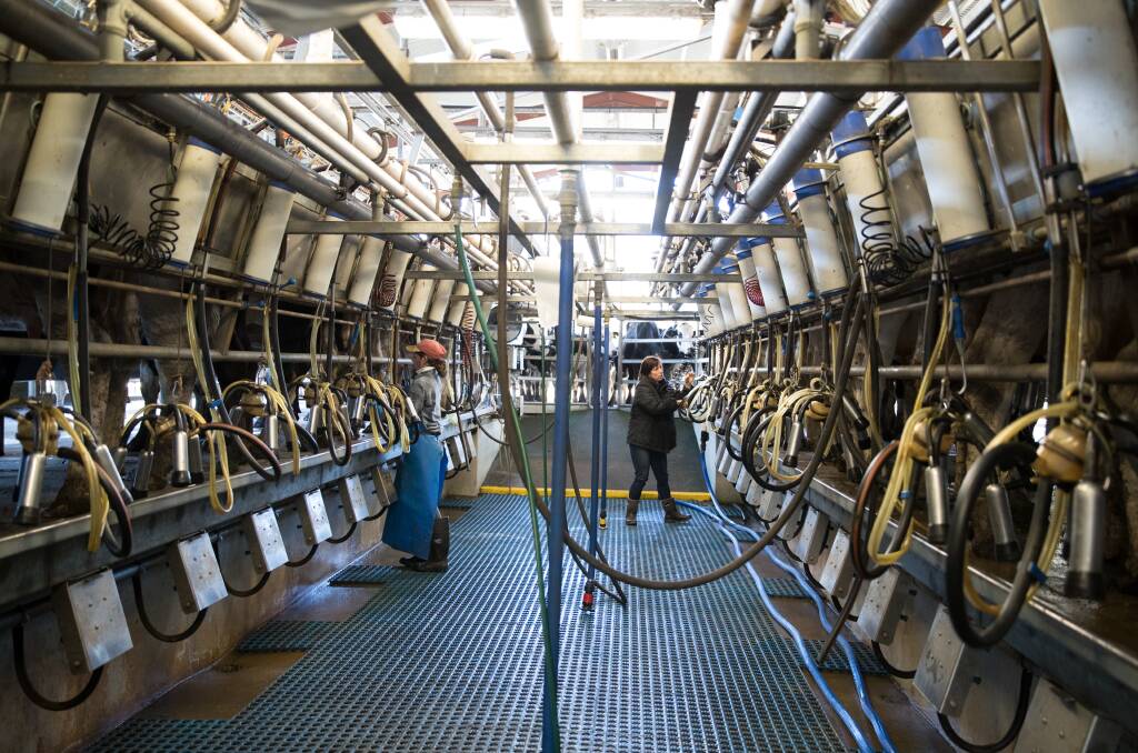 Dairy farmers are able to receive grants of up to $20,000 to upgrade equipment and reduce energy consumption through a Federal government grants program.