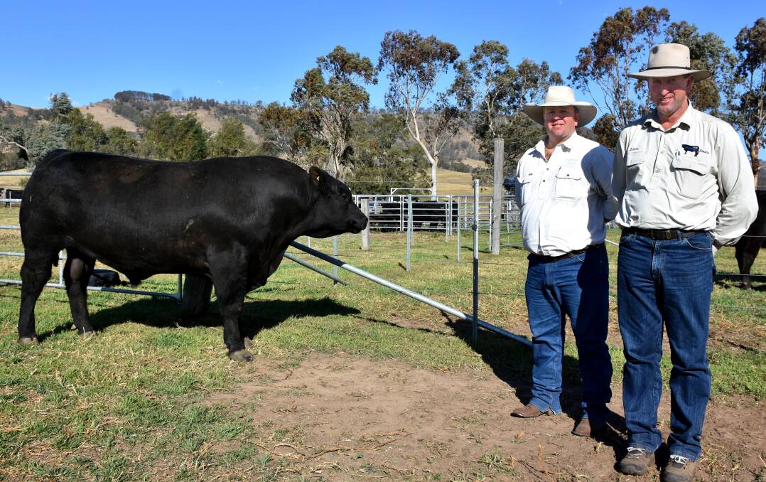SALE TOPPER: Pentire Mac Gyver M42 sold for $9250 at the sixth annual Pentire Angus sale the bull is pictured with agent Jason Bower, Roger Fuller Pty Ltd and stud principal Justin Richards, 'Greenmunt' Singleton.
