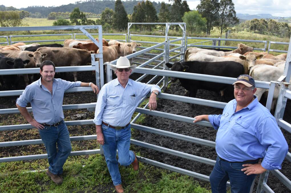 WEIGHTS: Glencore's  land & property manager, Nigel Charnock, Gary Johncock, general manager, Colinta and agronomist Neil Nelson with some of the trial steers.