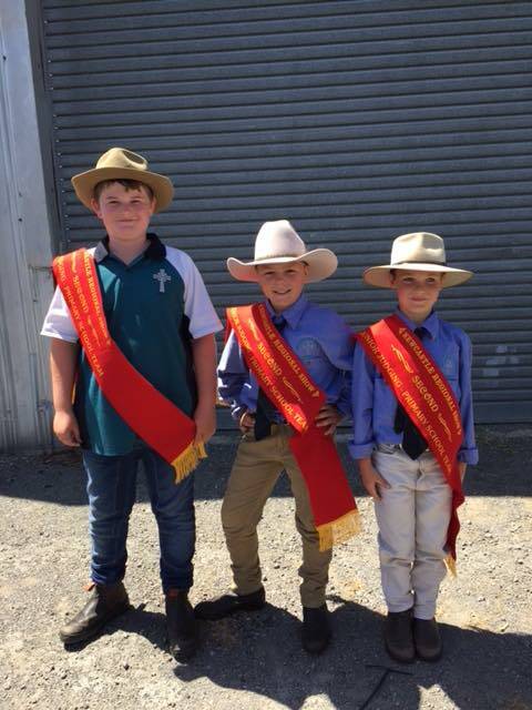 Primary team (2nd)

Left to right

Jake Cook, Jacob Merrick and Jacob Green second placed in the primary teams junior judging

