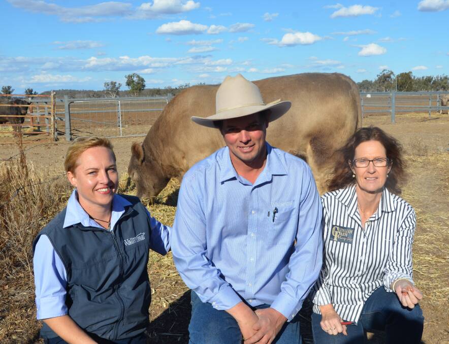 Wallawong principals Kate and Lachlan James with Dianne Whale, Glenliam Farm  with Wallawong Magic Man M47 who sold for $18,000