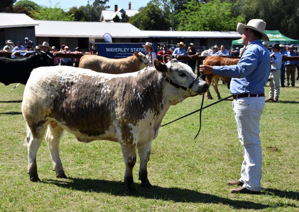 PRIME: Heavy middleweight champion with Ben Cook, St Catherine's Catholic College at the 2018 Upper Hunter Beef Bonanza. This year's event starts on Friday.