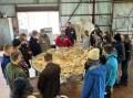 FLEECE: St Catherine's Catholic College Year 9 students learning all about the wool production process. Photo supplied.