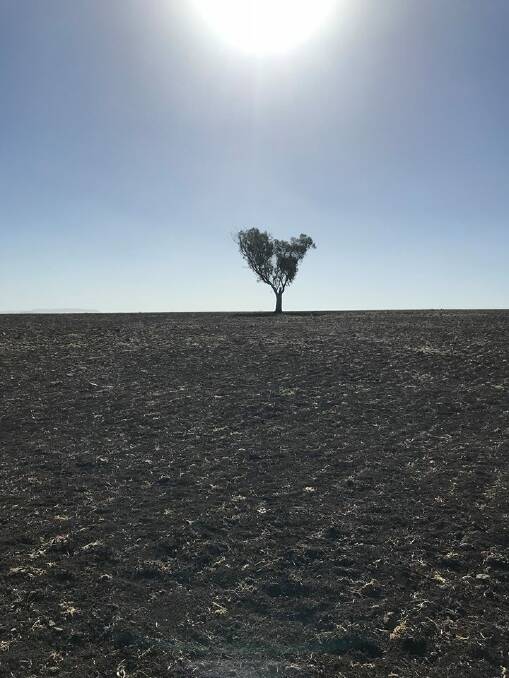 A federal election to break the drought?