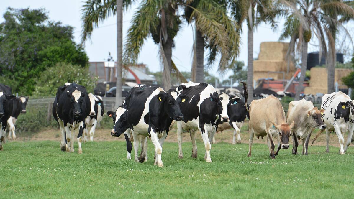 Production costs on the rise for dairy farms