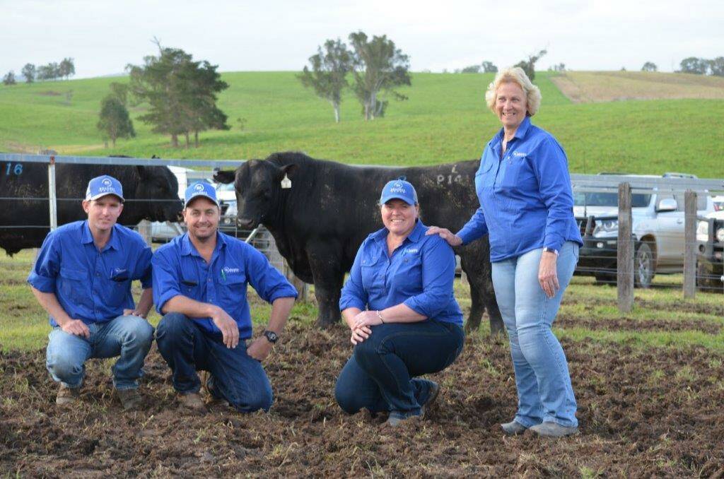 Representing Boambee Angus: Jamie Grosser, Aaron and Penny Lieb and Margo Duncan with their purchase Knowla Packer P141.
