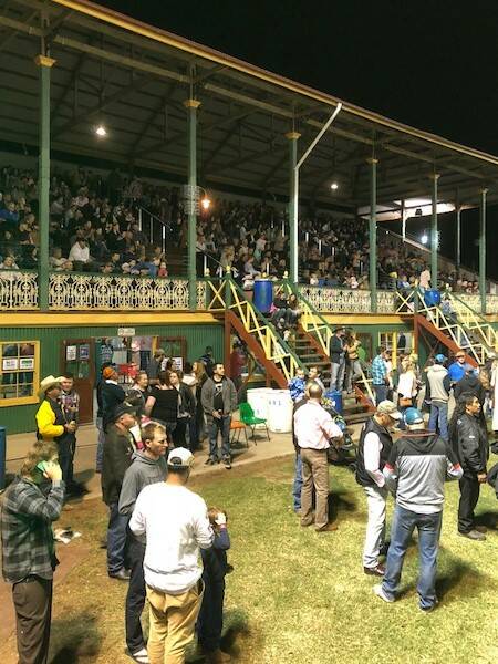 Singleton rodeo held in April with the new handrails in the grandstand given their first test.