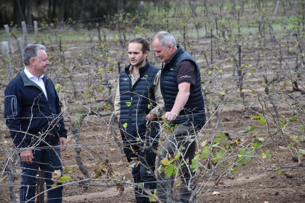 Joel Fitzgibbon with Alisdair and Keith Tulloch in their vineyard at Pokolbin
