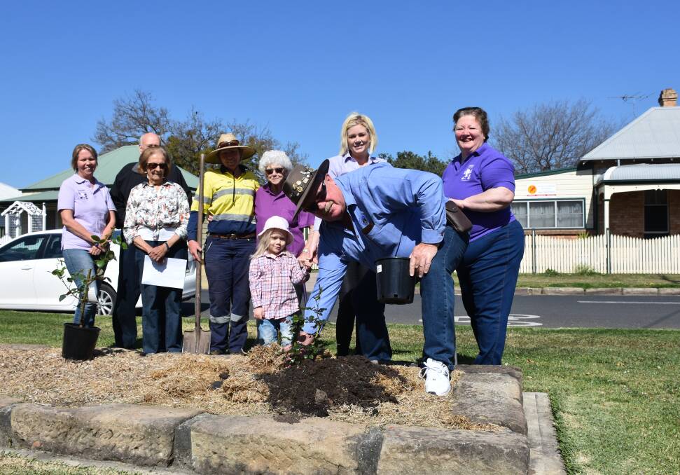 COMMUNITY: Members of Singleton Tidy Towns Committee were busy assisting with the planting roses in Burdekin Park on a beautiful spring morning this week.