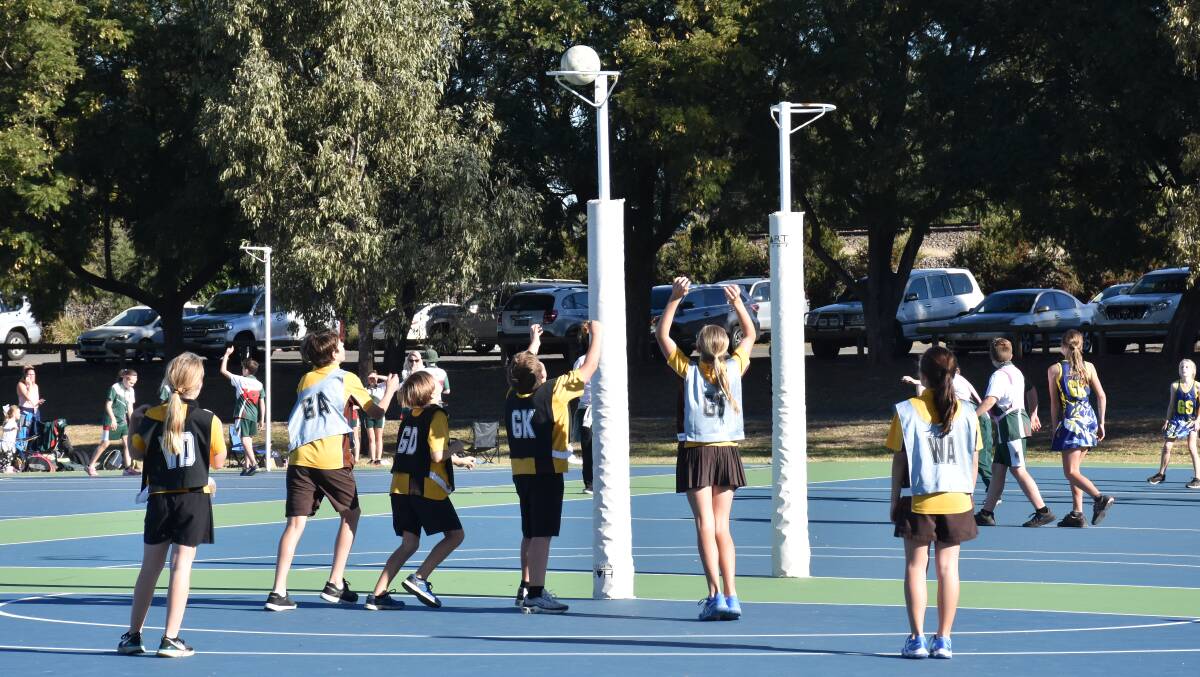 Singleton Netball Association will receive $5,000 in a state government grant. 