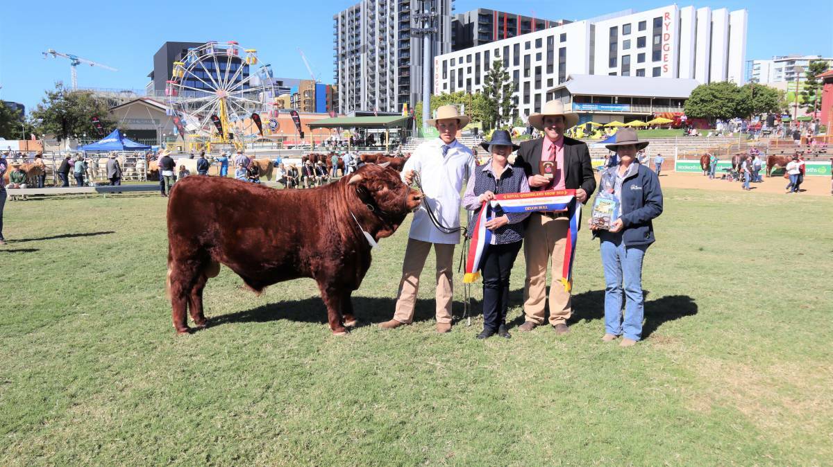 Ethan Edwards, Gloucester, Loma Wright, Benoak Devon stud and Anthony Ball, with grand champion bull Little Manning Able.