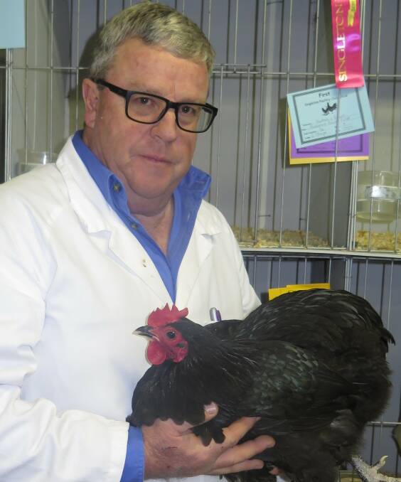 BEST IN SHOW: Judge Grahame Sharpe with Grand Champion Bird of Show Fred Brown’s Large Australorp Pullet.